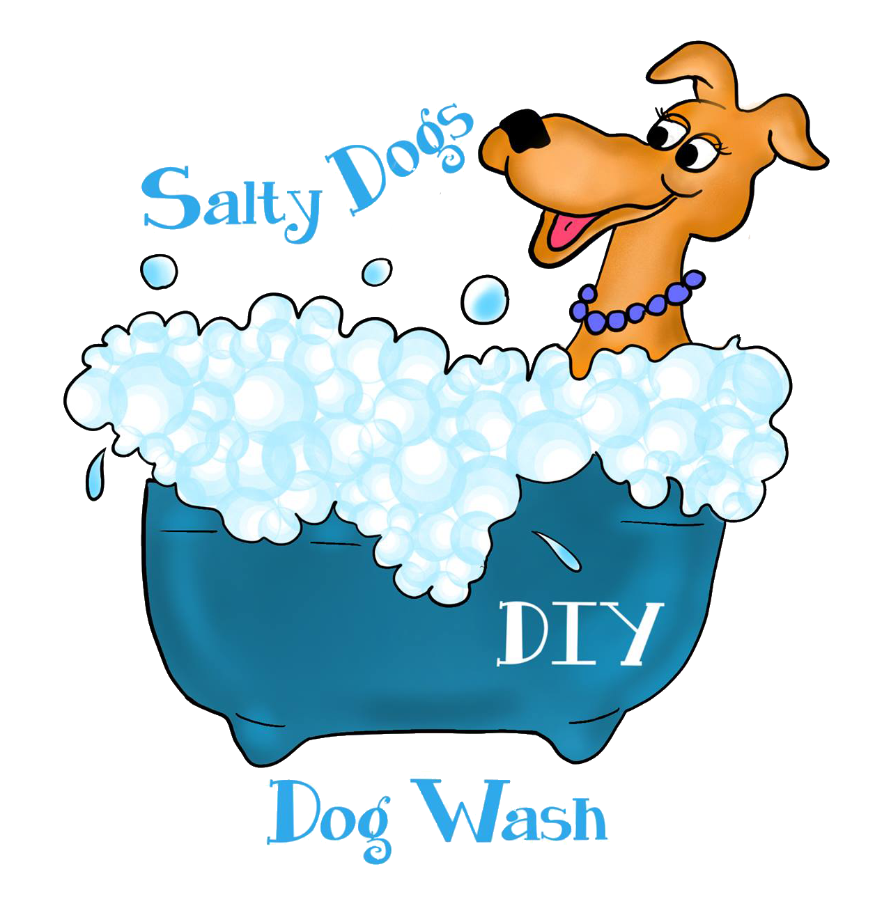 Salty Dog DIY Franchise